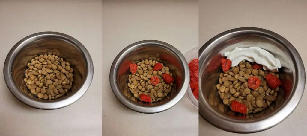 dog food with toppings