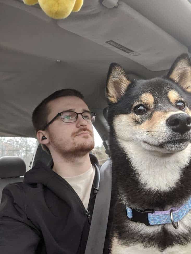 shiba inu sitting in a man's lap while he is driving