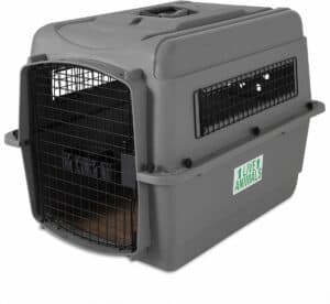 petmate sky kennel travel carrier