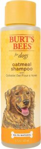 burts bees dog shampoo