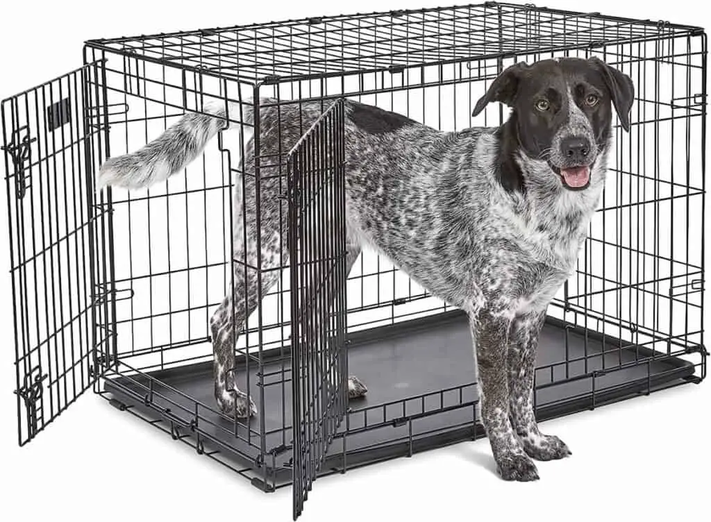 midwest 36" dog crate