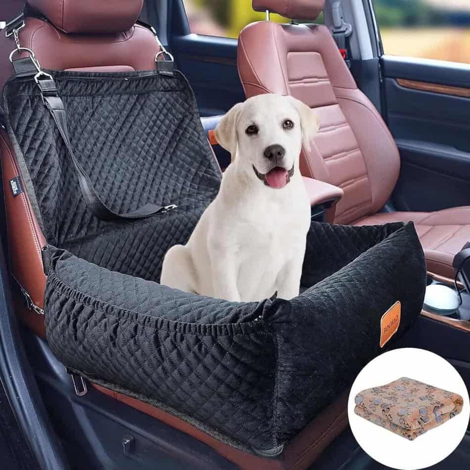 BOCHAO Pet Booster Seat